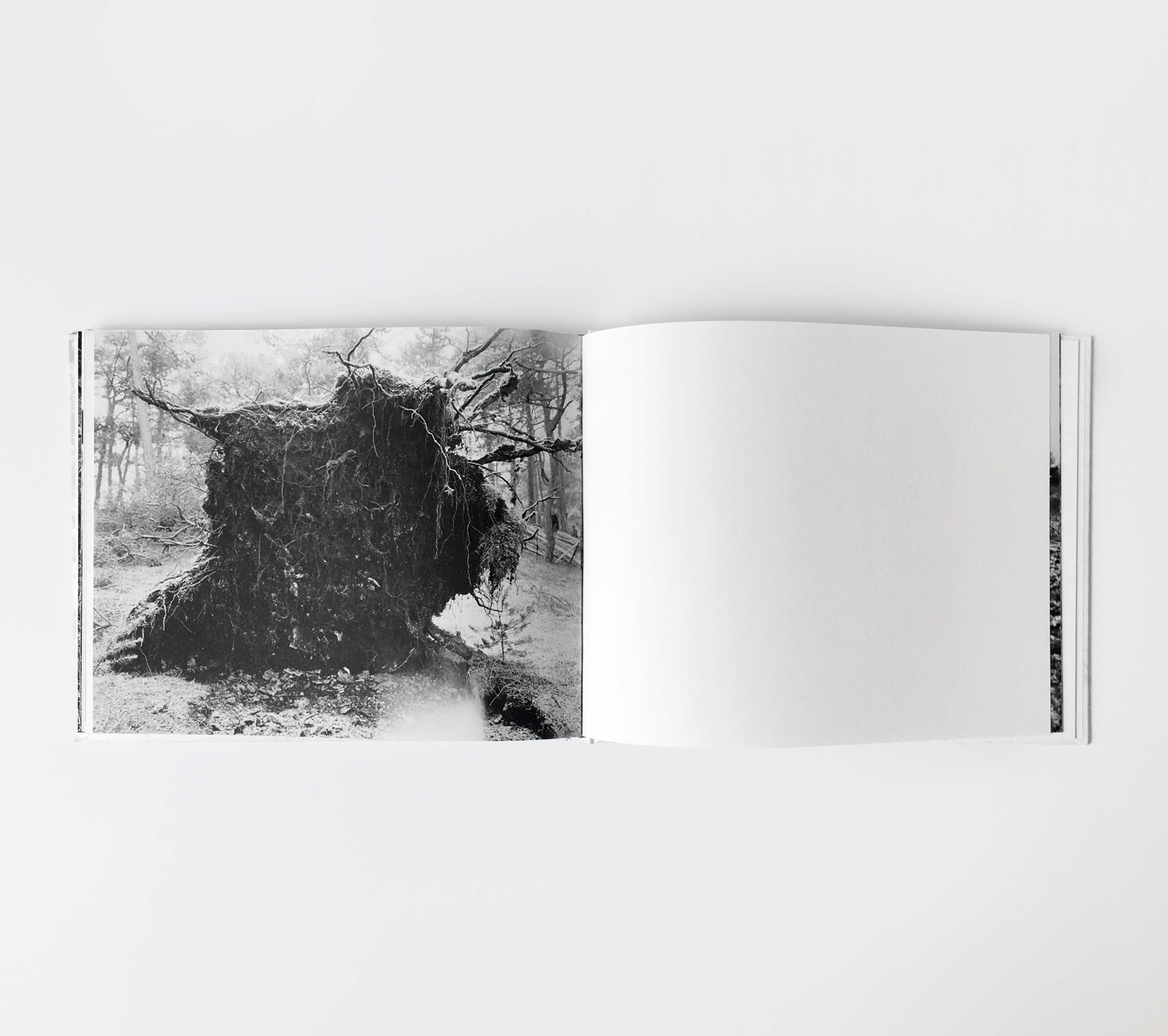 Bildbehandling fotobok svartvitt – uppslag ur Det är tyst av Catharina Gotby, med detaljrik skanning och tonomfång bevarat från negativ till bok.