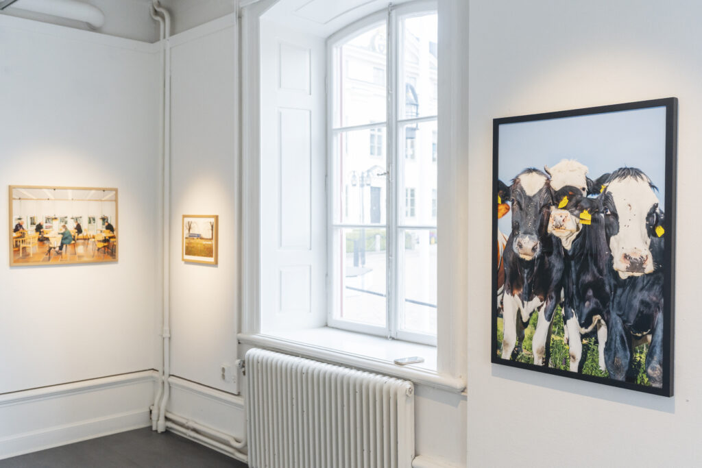 Installationsvy från Gustav Grälls Sverige med färgprintar på Härnösands Konsthall