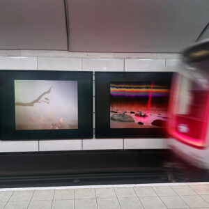 Specialanpassad lösning för fotografi och konst genom NAFS × Artproof
